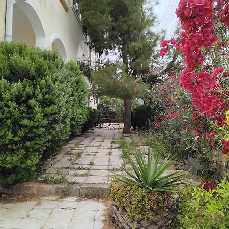 Апартаменты Peaceful Oasis Афины Экстерьер фото