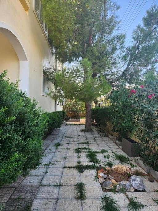 Апартаменты Peaceful Oasis Афины Экстерьер фото