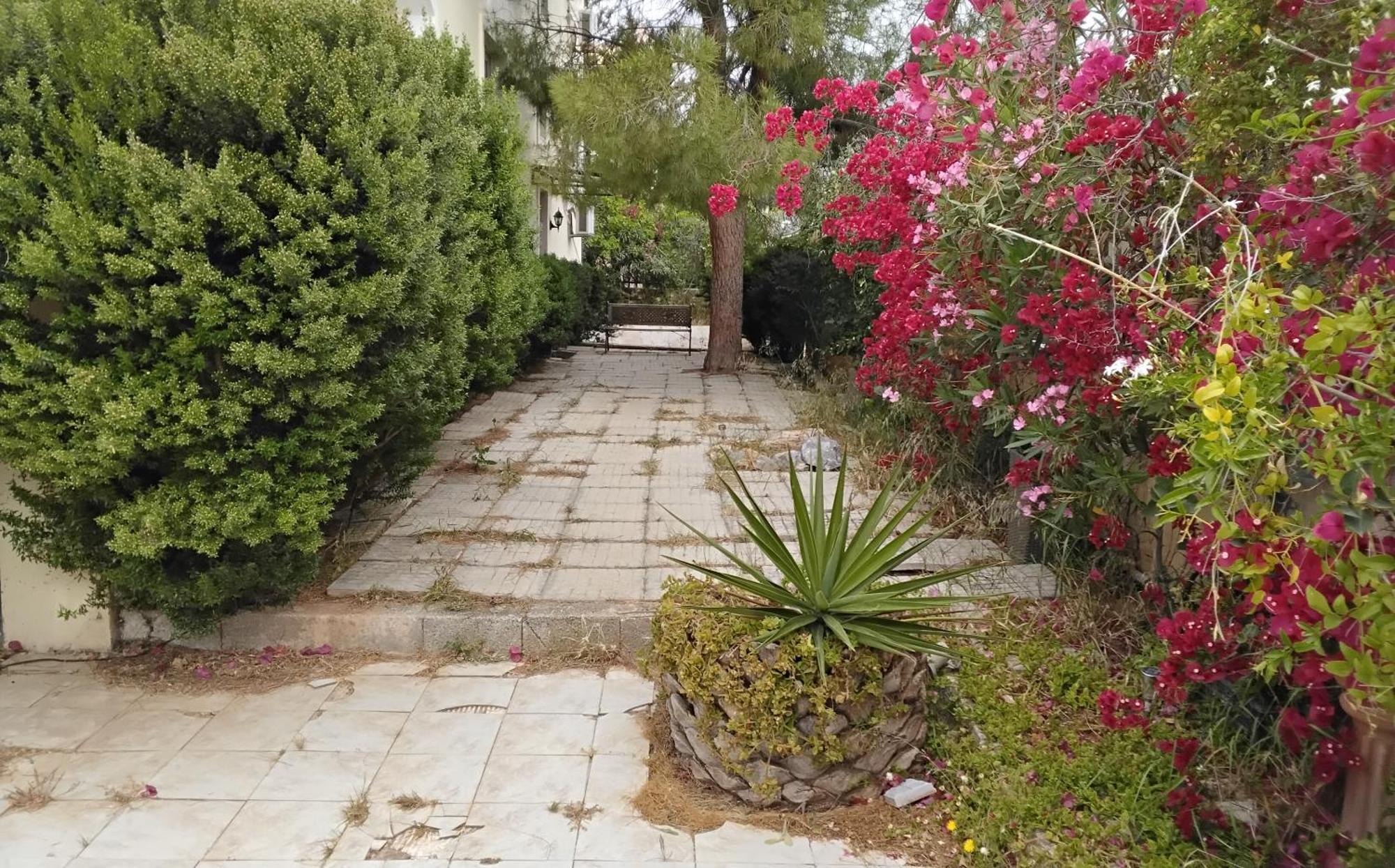 Апартаменты Peaceful Oasis Афины Номер фото